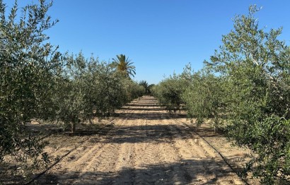 Revente - Ville - Elche Pedanías - La Hoya-Daimes-El Derramador