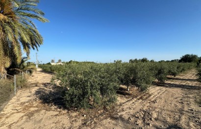 Revente - Ville - Elche Pedanías - La Hoya-Daimes-El Derramador