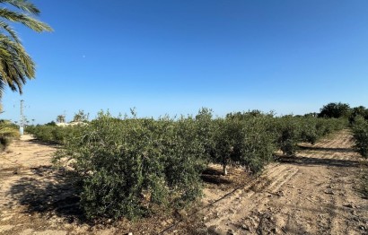 Revente - Ville - Elche Pedanías - La Hoya-Daimes-El Derramador