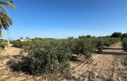 Revente - Ville - Elche Pedanías - La Hoya-Daimes-El Derramador