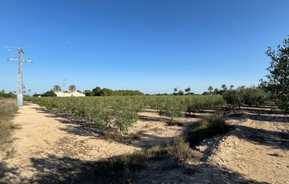 Revente - Ville - Elche Pedanías - La Hoya-Daimes-El Derramador