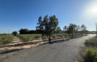 Revente - Ville - Elche Pedanías - La Hoya-Daimes-El Derramador