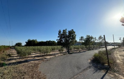 Revente - Ville - Elche Pedanías - La Hoya-Daimes-El Derramador