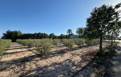 Revente - Ville - Elche Pedanías - La Hoya-Daimes-El Derramador