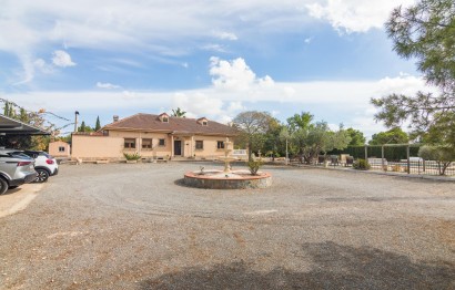 Reventa - Villa - Elche Pedanías - PEÑA DE LAS AGUILAS