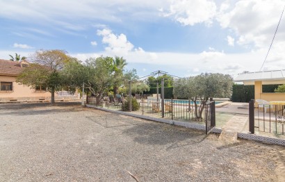 Reventa - Villa - Elche Pedanías - PEÑA DE LAS AGUILAS