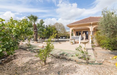 Reventa - Villa - Elche Pedanías - PEÑA DE LAS AGUILAS