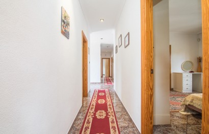 Reventa - Villa - Elche Pedanías - PEÑA DE LAS AGUILAS