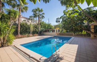 Revente - Ville - Elche - Bonavista