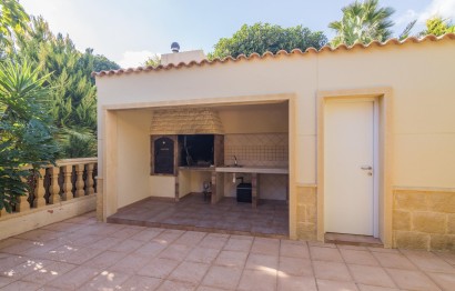 Revente - Ville - Elche - Bonavista