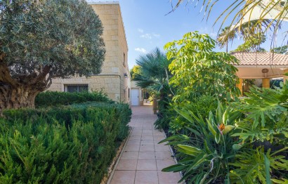Revente - Ville - Elche - Bonavista