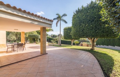 Revente - Ville - Elche - Bonavista