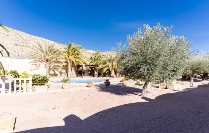 Reventa - Apartamento / piso - Hondón de las Nieves
