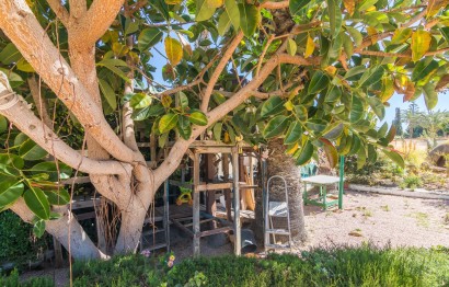 Reventa - Villa - Elche Pedanías - Maitino-Perleta