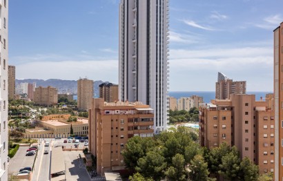 Reventa - Apartamento / piso - Benidorm - Hotel Bali