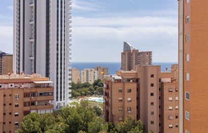 Reventa - Apartamento / piso - Benidorm - Hotel Bali