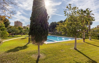 Reventa - Apartamento / piso - Benidorm - Hotel Bali