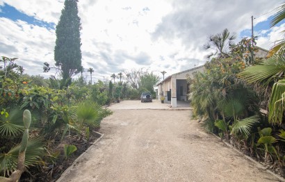 Reventa - Villa - Elche Pedanías - La Hoya-Daimes-El Derramador