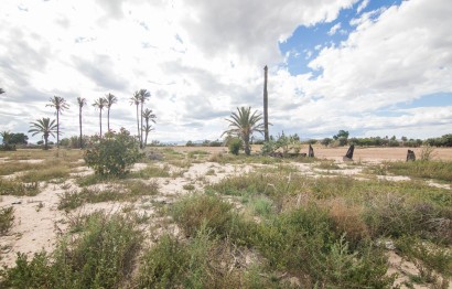 Reventa - Villa - Elche Pedanías - La Hoya-Daimes-El Derramador