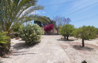 Reventa - Villa - Elche - La Galia-Bonavista