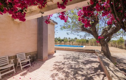 Reventa - Villa - Elche - La Galia-Bonavista