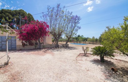 Reventa - Villa - Elche - La Galia-Bonavista