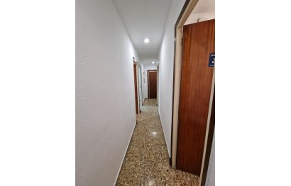 Reventa - Apartamento / piso - Alicante - Carolinas Altas