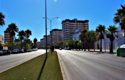 Reventa - Plot - Alicante - Babel