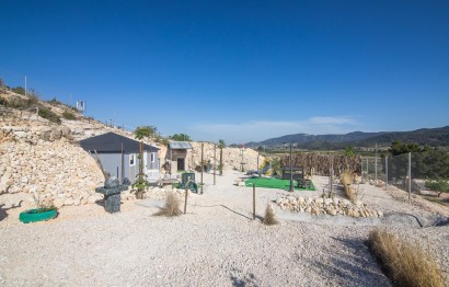 Reventa - Parcela / Terreno - Pinoso - CULEBRON