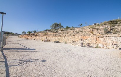 Reventa - Parcela / Terreno - Pinoso - CULEBRON
