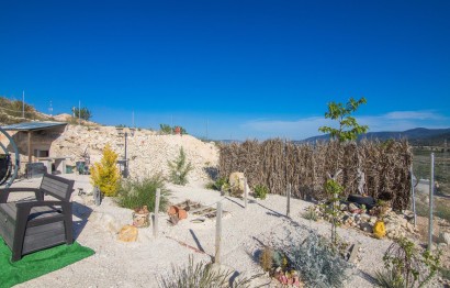 Reventa - Parcela / Terreno - Pinoso - CULEBRON