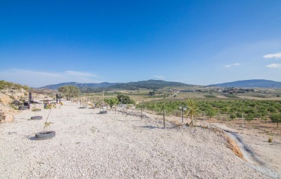 Reventa - Parcela / Terreno - Pinoso - CULEBRON