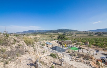 Reventa - Parcela / Terreno - Pinoso - CULEBRON