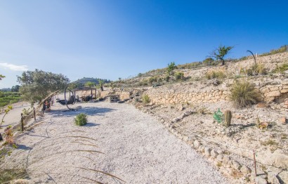 Reventa - Parcela / Terreno - Pinoso - CULEBRON