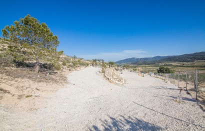 Reventa - Parcela / Terreno - Pinoso - CULEBRON