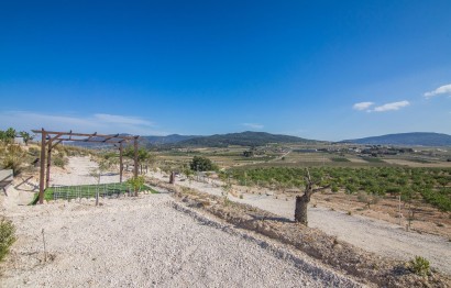 Reventa - Parcela / Terreno - Pinoso - CULEBRON