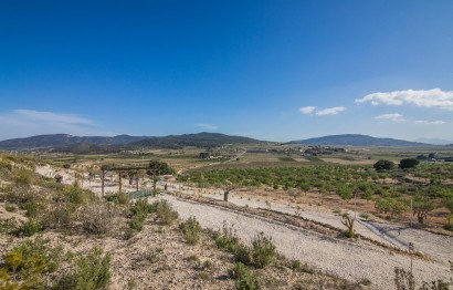 Reventa - Parcela / Terreno - Pinoso - CULEBRON