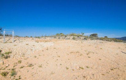 Reventa - Parcela / Terreno - Pinoso - CULEBRON