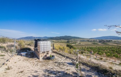 Reventa - Parcela / Terreno - Pinoso - CULEBRON