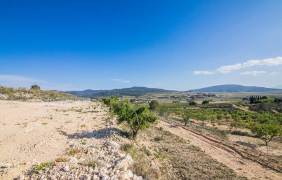 Reventa - Parcela / Terreno - Pinoso - CULEBRON
