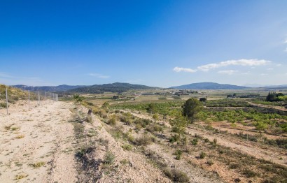 Reventa - Parcela / Terreno - Pinoso - CULEBRON