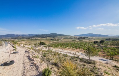 Reventa - Parcela / Terreno - Pinoso - CULEBRON