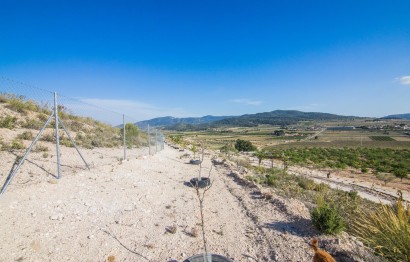 Reventa - Parcela / Terreno - Pinoso - CULEBRON