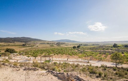 Reventa - Parcela / Terreno - Pinoso - CULEBRON