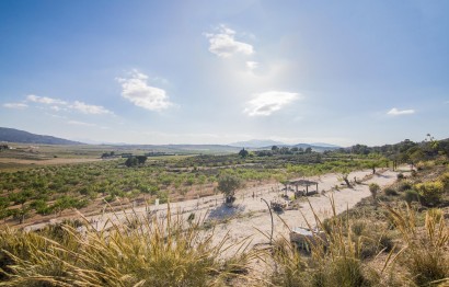 Reventa - Parcela / Terreno - Pinoso - CULEBRON