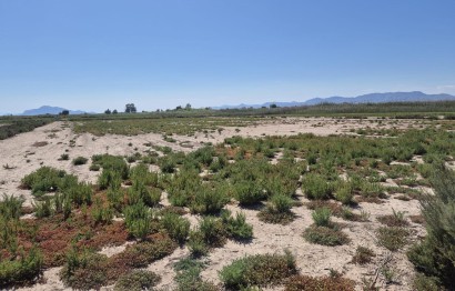 Resale - Plot / Land - Elche Pedanías - La Hoya-Daimes-El Derramador