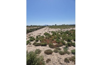 Resale - Plot / Land - Elche Pedanías - La Hoya-Daimes-El Derramador