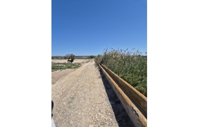 Resale - Plot / Land - Elche Pedanías - La Hoya-Daimes-El Derramador