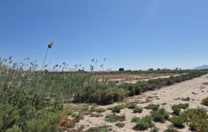 Resale - Plot / Land - Elche Pedanías - La Hoya-Daimes-El Derramador