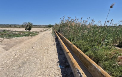 Resale - Plot / Land - Elche Pedanías - La Hoya-Daimes-El Derramador
